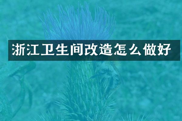 浙江卫生间改造怎么做好
