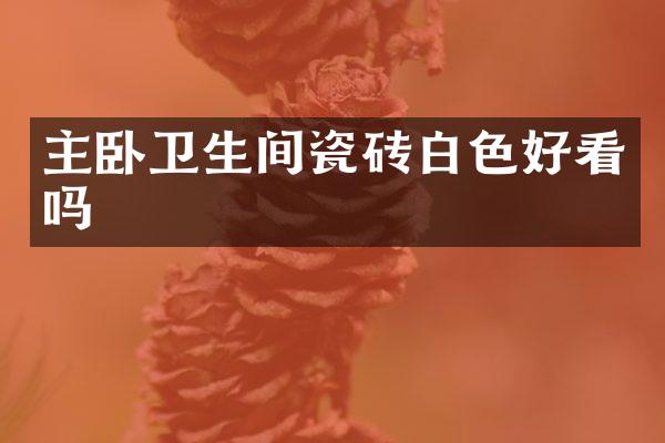 主卧卫生间瓷砖白色好看吗
