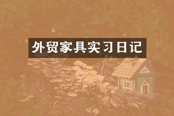 外贸家具实习日记