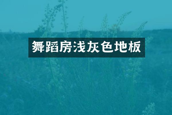 舞蹈房浅灰色地板
