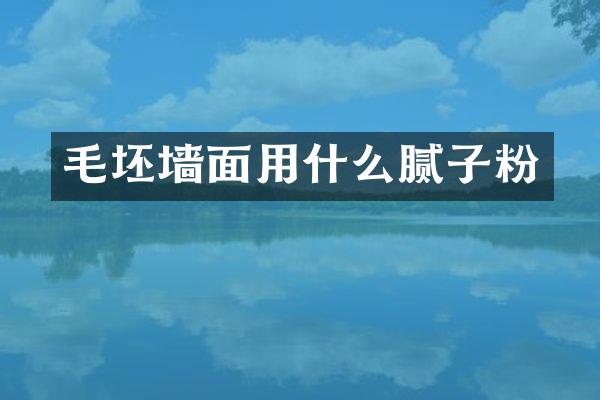 毛坯墙面用什么腻子粉
