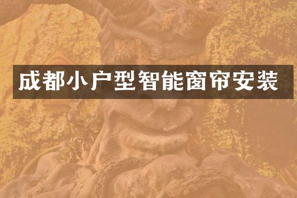 成都小户型智能窗帘安装
