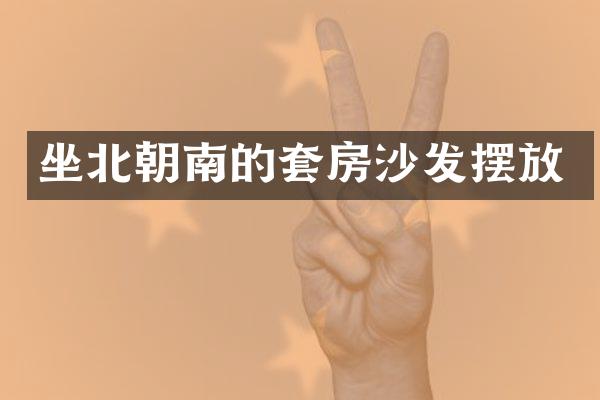 坐北朝南的套房沙发摆放