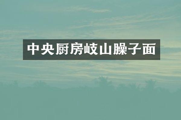 中央厨房岐山臊子面