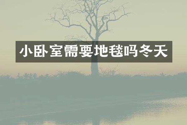 小卧室需要地毯吗冬天
