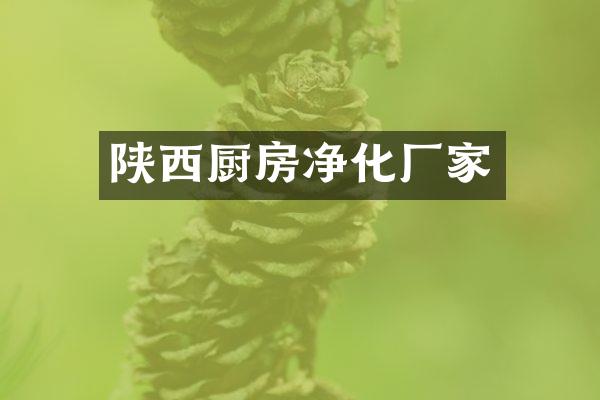 陕西厨房净化厂家