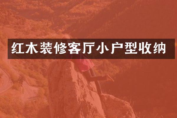 红木装修客厅小户型收纳