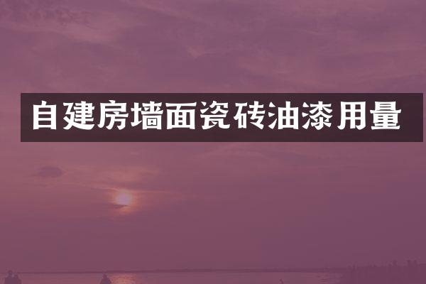 自建房墙面瓷砖油漆用量