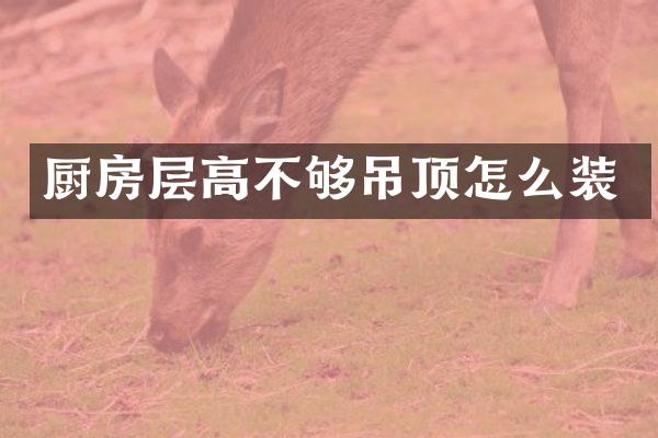 厨房层高不够吊顶怎么装