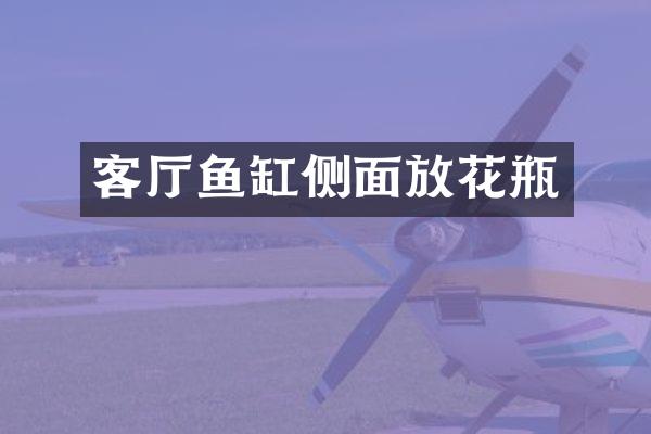 客厅鱼缸侧面放花瓶