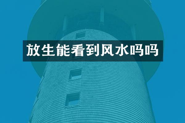 放生能看到风水吗吗