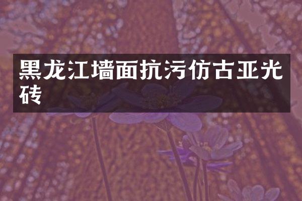 黑龙江墙面抗污仿古亚光砖