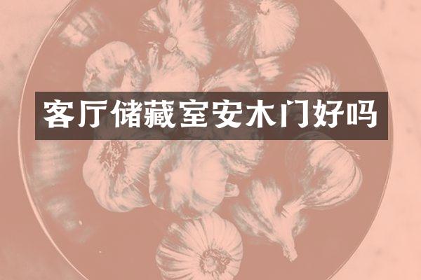客厅储藏室安木门好吗