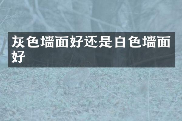灰色墙面好还是白色墙面好