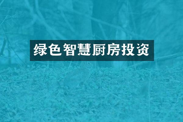 绿色智慧厨房投资