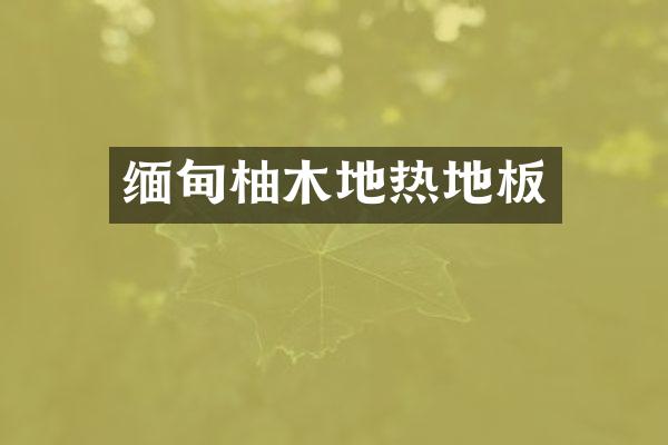 缅甸柚木地热地板