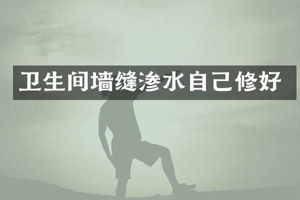 卫生间墙缝渗水自己修好
