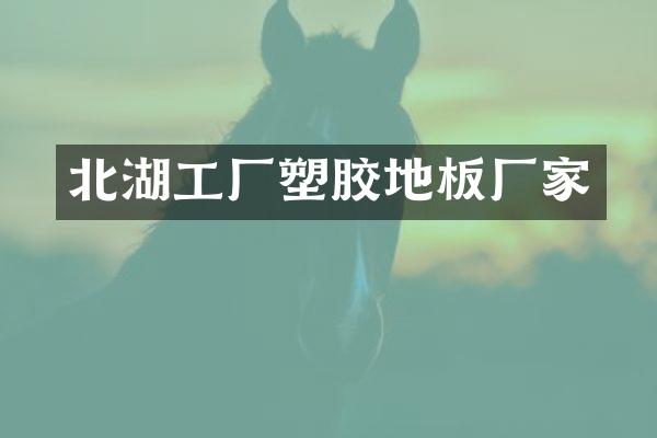 北湖工厂塑胶地板厂家