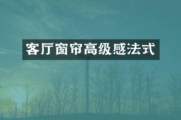 客厅窗帘高级感法式