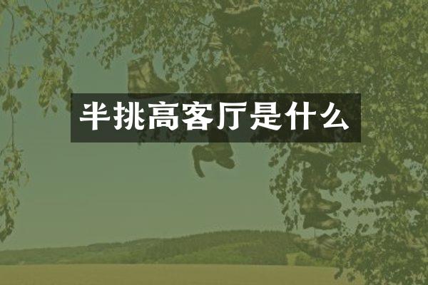 半挑高客厅是什么