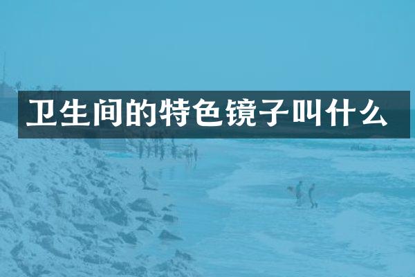 卫生间的特色镜子叫什么
