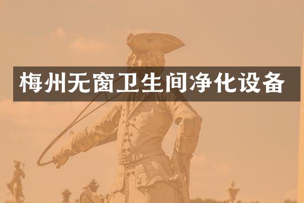 梅州无窗卫生间净化设备