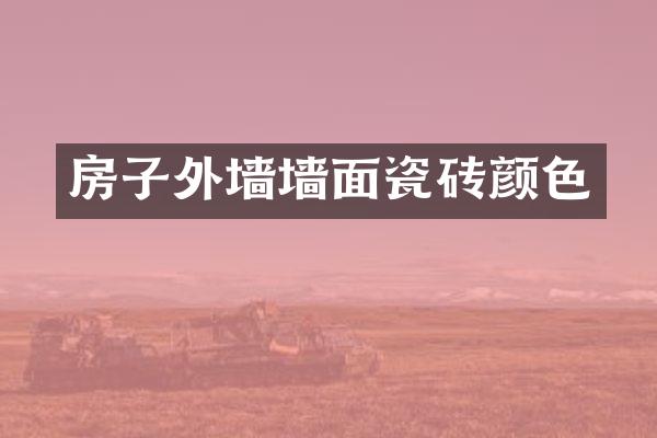 房子外墙墙面瓷砖颜色