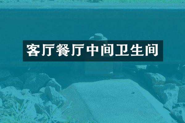 客厅餐厅中间卫生间