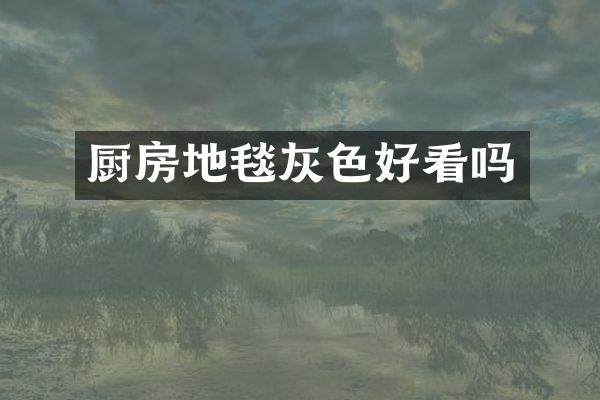 厨房地毯灰色好看吗
