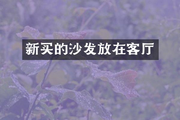 新买的沙发放在客厅
