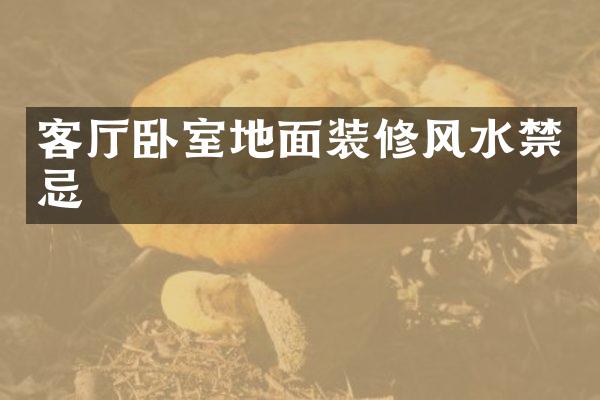 客厅卧室地面装修风水禁忌