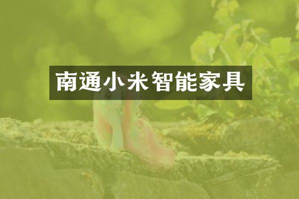 南通小米智能家具