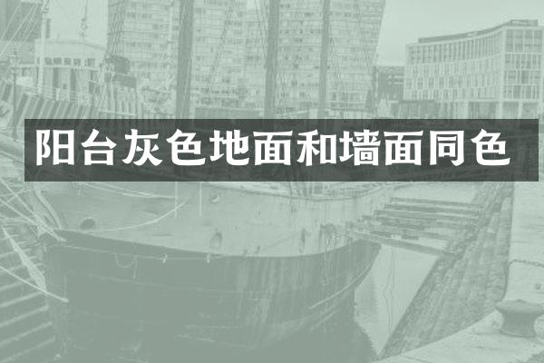 阳台灰色地面和墙面同色