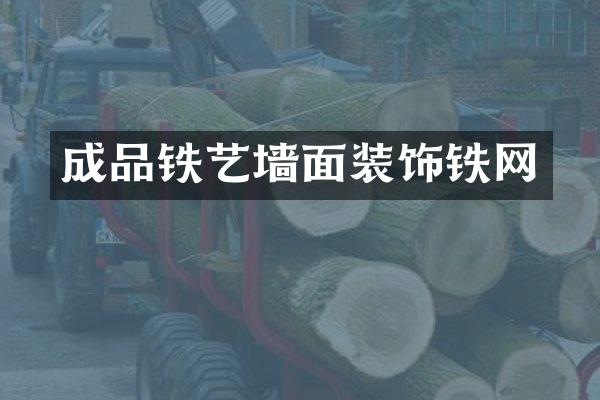 成品铁艺墙面装饰铁网