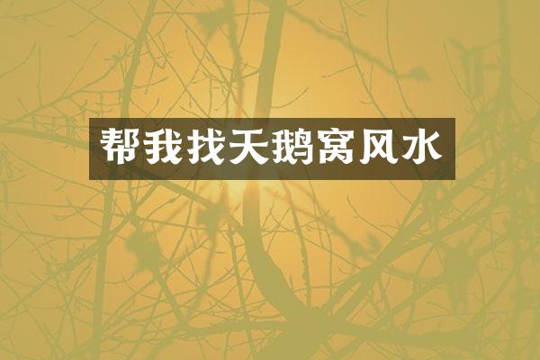 帮我找天鹅窝风水