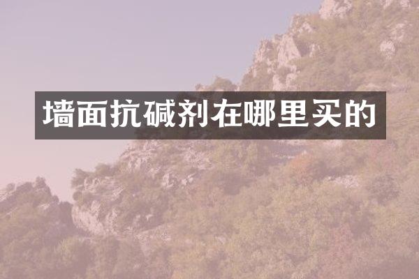 墙面抗碱剂在哪里买的