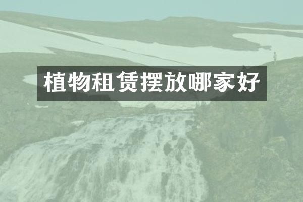 植物租赁摆放哪家好