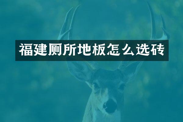 福建厕所地板怎么选砖