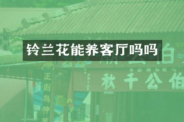 铃兰花能养客厅吗吗