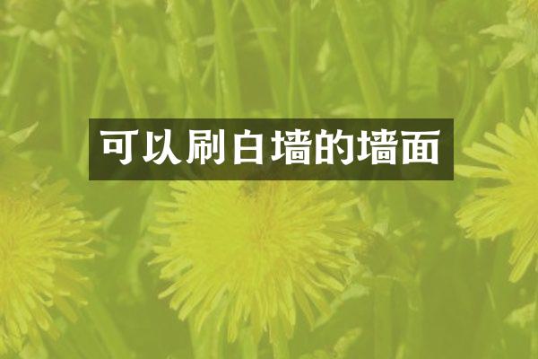 可以刷白墙的墙面