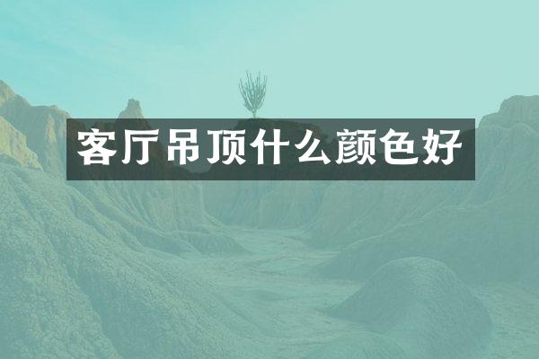 客厅吊顶什么颜色好