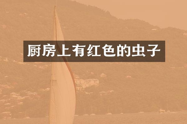 厨房上有红色的虫子