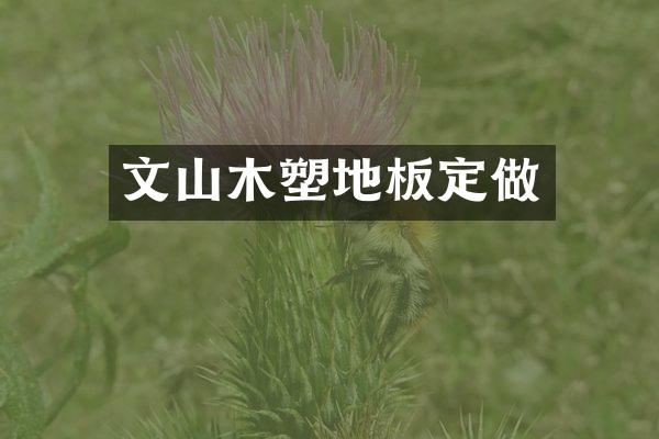 文山木塑地板定做