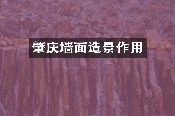 肇庆墙面造景作用