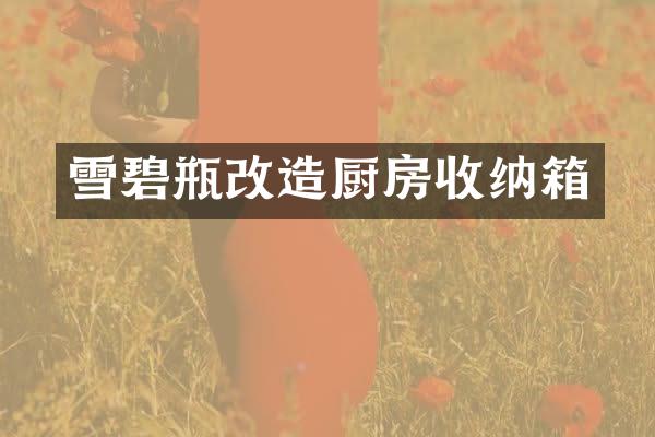 雪碧瓶改造厨房收纳箱