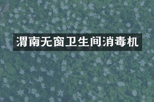 渭南无窗卫生间消毒机
