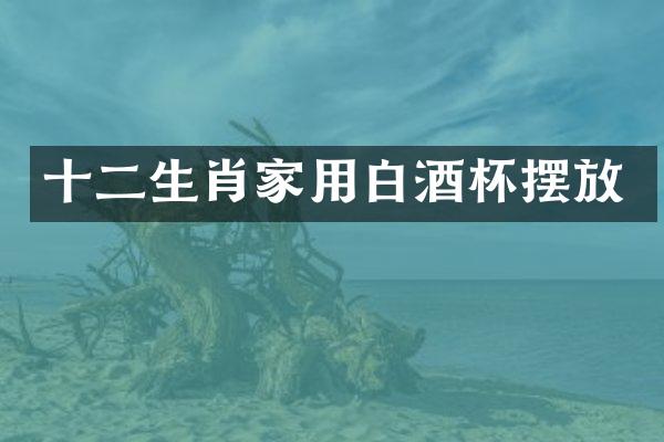 十二生肖家用白酒杯摆放
