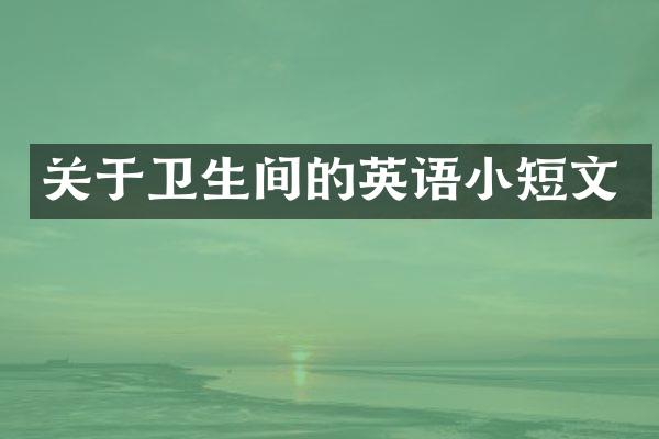 关于卫生间的英语小短文