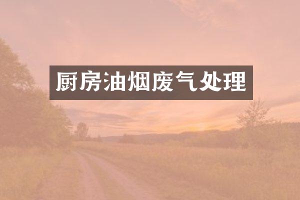 厨房油烟废气处理
