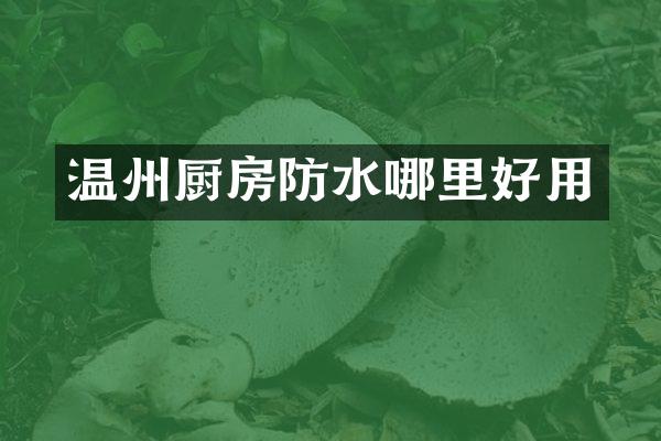 温州厨房防水哪里好用